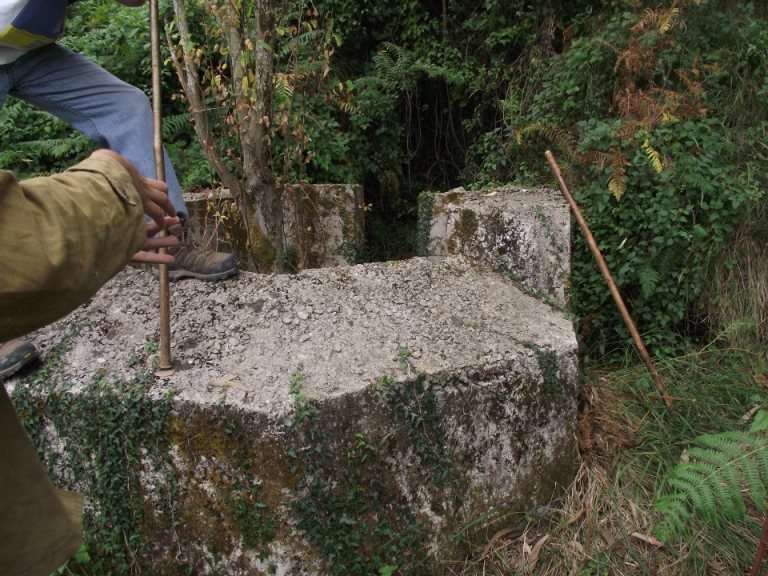 260432_3108284764841_247259371_n