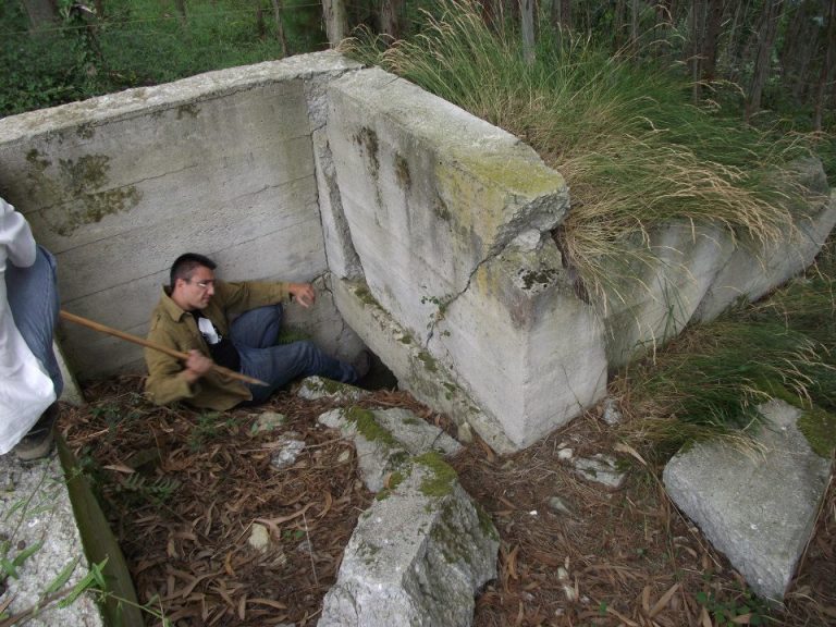 305040_3108279044698_1969724137_n