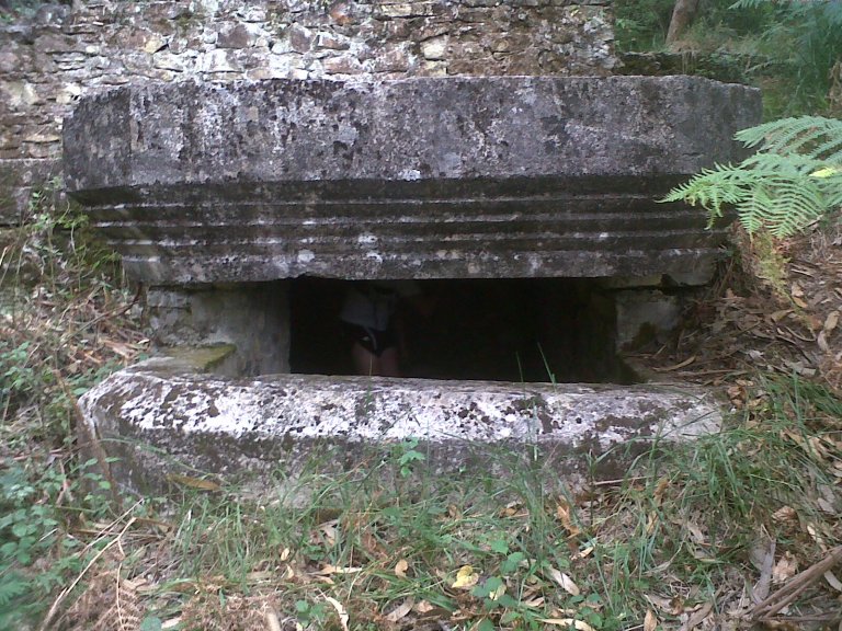 img00374-20120821-1610