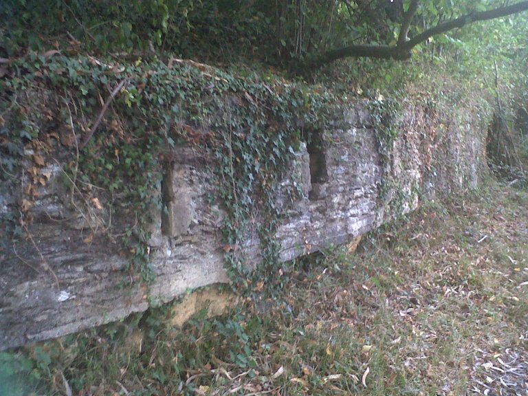 img00416-20120821-1919