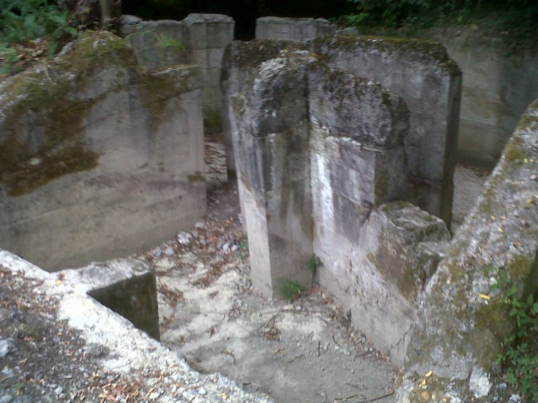 img00431-20120822-0935