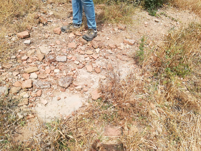 IMG-20180625-WA0033 p